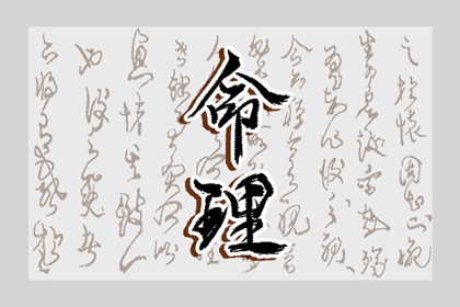 本命盘入口|查看紫薇星斗命盘|命盘详细解释|八字本命盘|紫微合盘配对免费