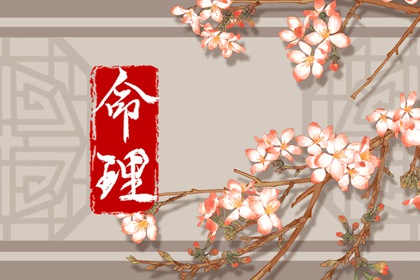 排盘紫薇 在线紫微 八字基本命盘查询 双人合盘详解紫微 问真紫微斗数排盘 新浪紫薇命盘